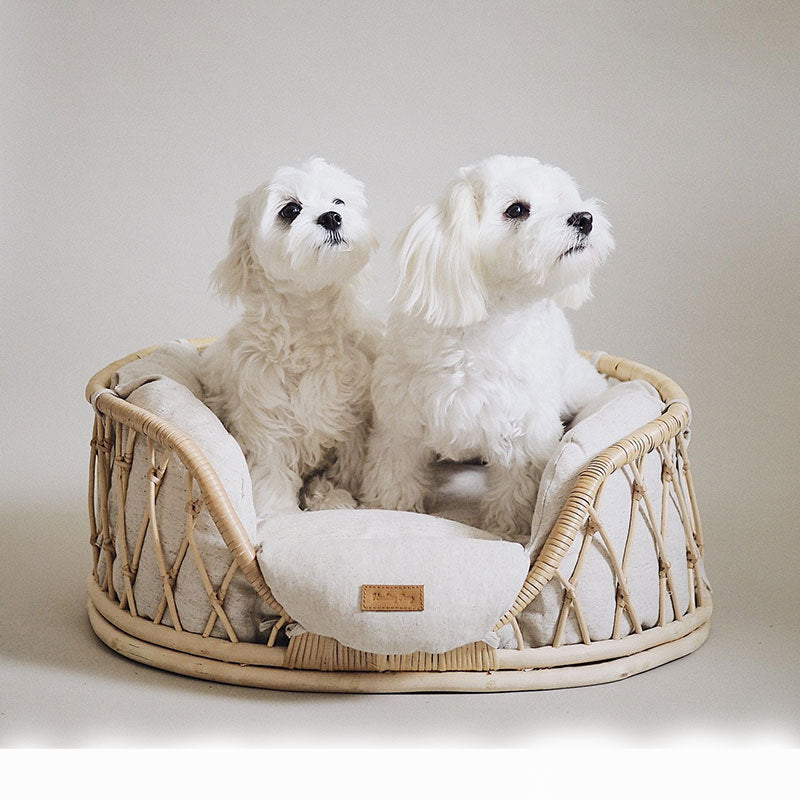Elevate Your Pet’s Comfort with a Hand‑Woven Rattan Retreat