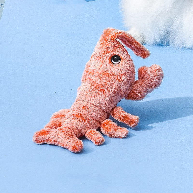 Unforgettable Fun: Let Your Cat Play with Joy