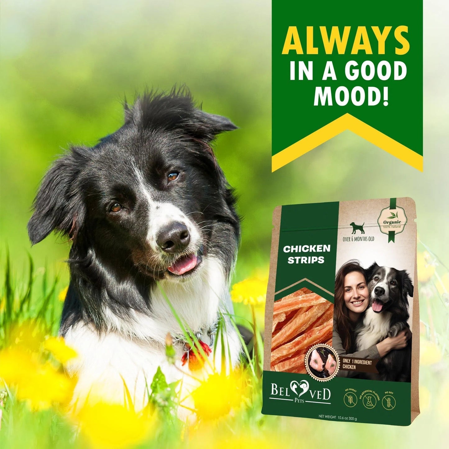 Premium Human‑Grade Grain‑Free Chicken Strips – Healthy Protein Chews