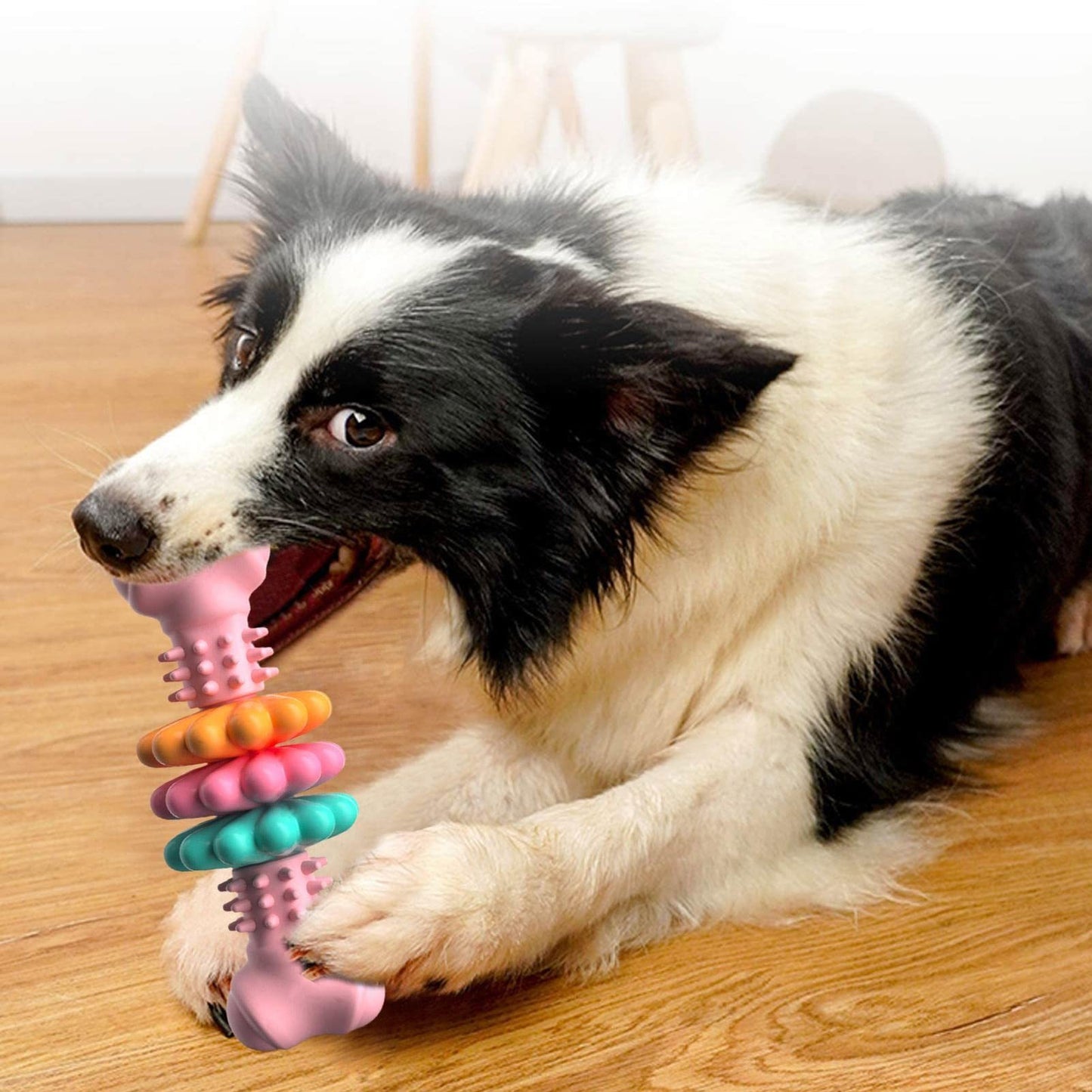 Indestructible TPR Bone – Dental & Anxiety‑Relief Chew Toy