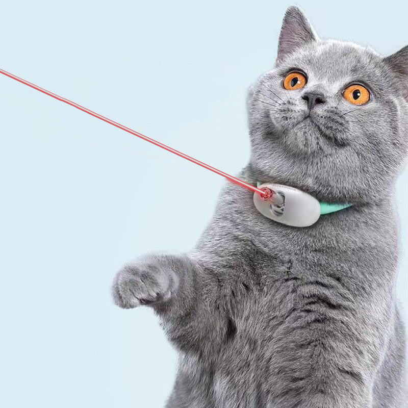 Endless Engagement: A Laser-Playtime Partner