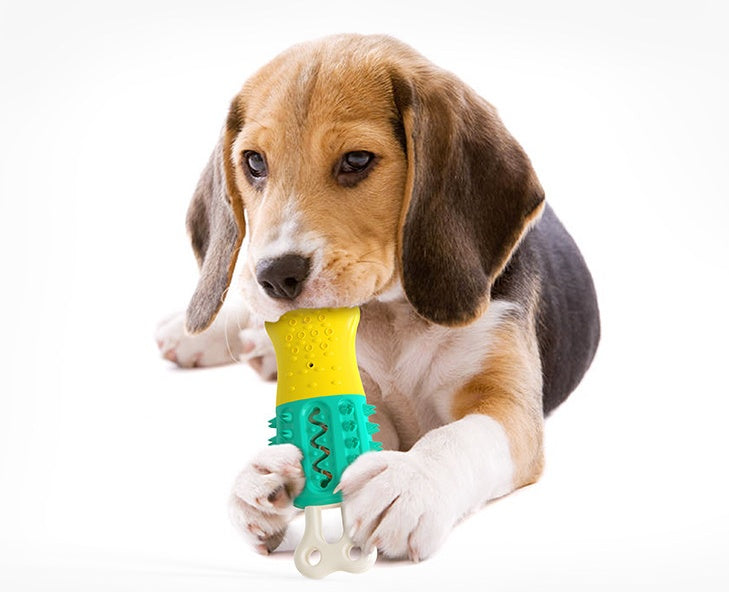 Summer Chill Chew — Cooling + Dental Care Pet Toy