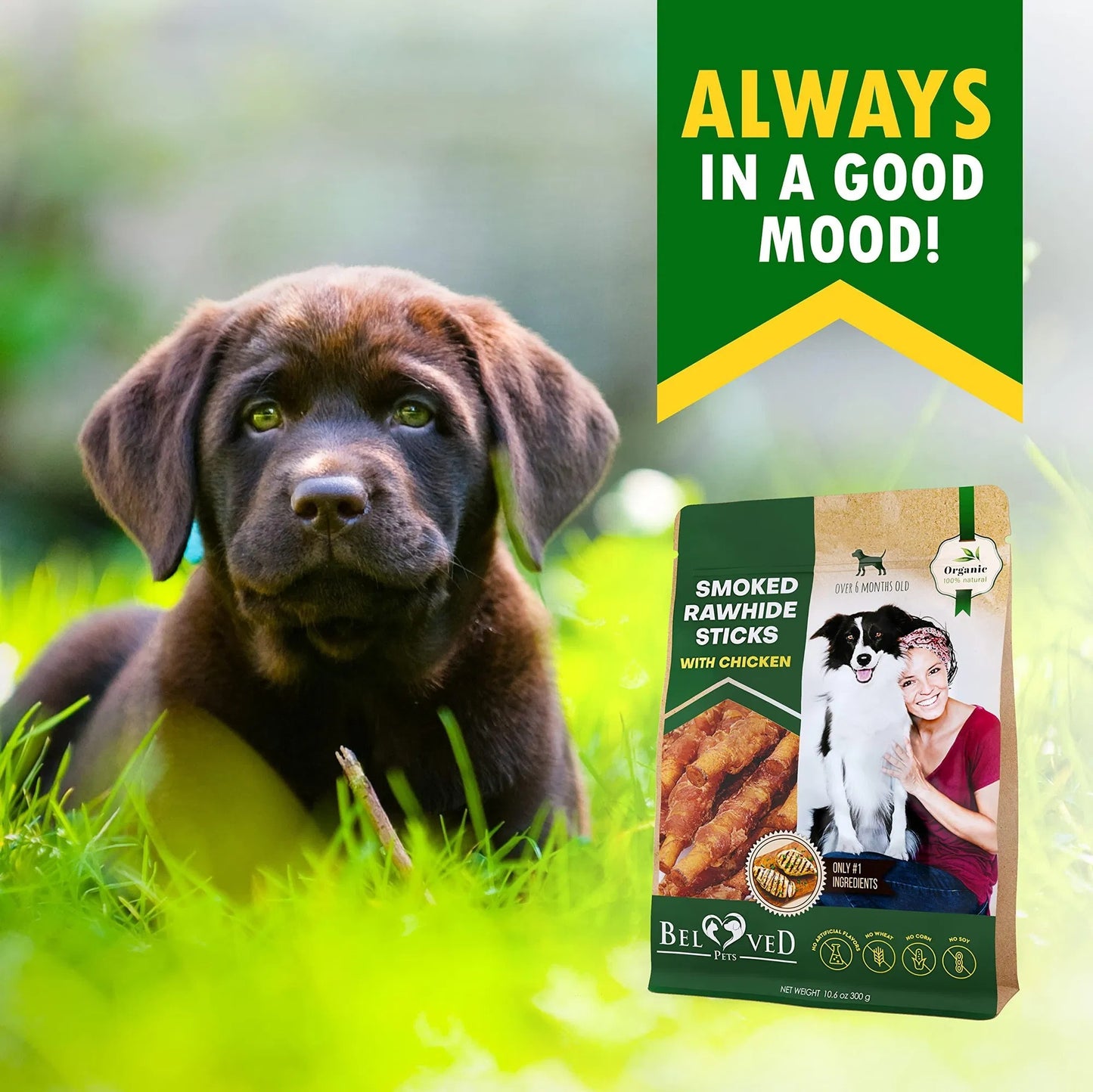 Chicken‑Wrapped Smoked Rawhide Sticks – Healthy Chew That Cleans Teeth & Rewards