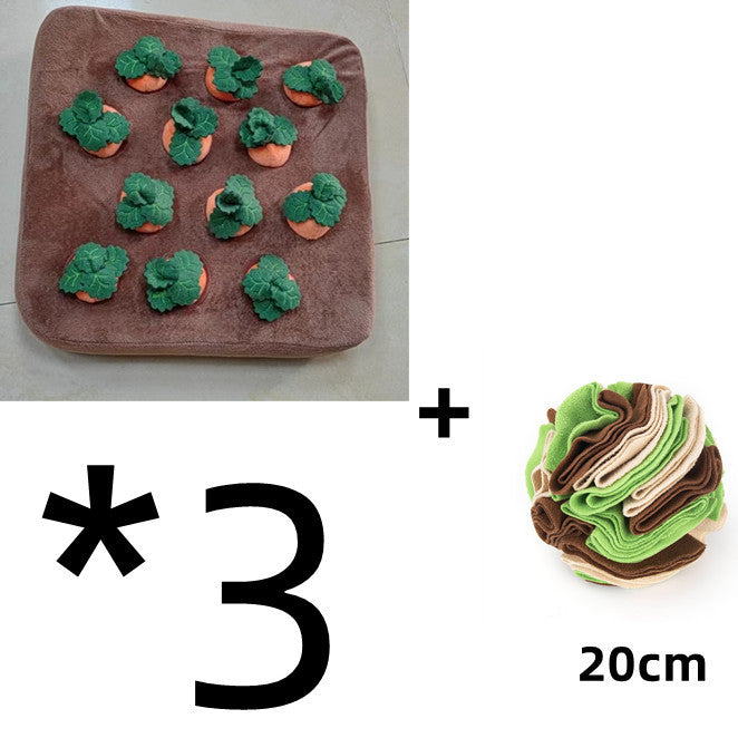 Durable Carrot Chew & Snuffle Mat Pet Toy