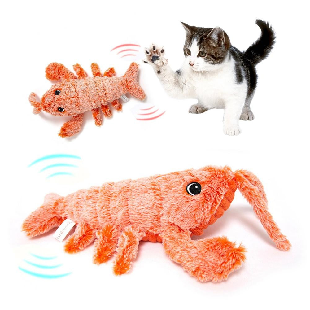 Unforgettable Fun: Let Your Cat Play with Joy