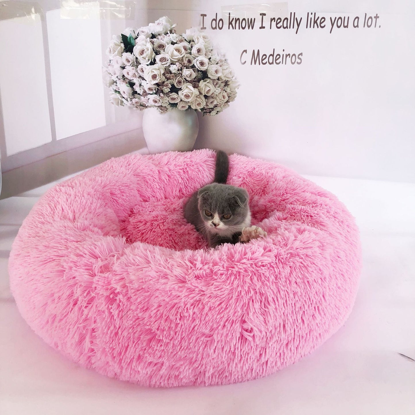 Small Cat Round Plush Nest – Cozy Comfort for Your Kitten