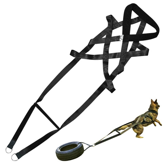 Reflective Nylon Chest‑Strap Dog Harness – Safe Control Without Neck Strain