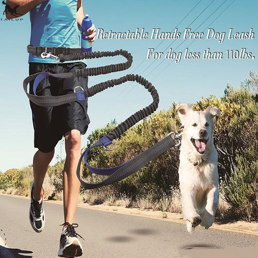 Pet Supplies Multi‑Function Reflective Elastic Dog Leash for Running & Pull Control
