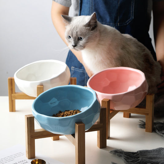 Oblique‑Mouth Pet Bowl — Neck‑Friendly, Spill‑Free Feeding for Cats & Dogs