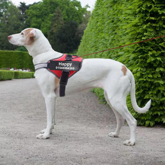 Personalized Reflective No‑Pull Harness — Custom Name Patch & Adjustable Fit