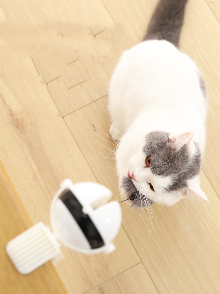 Bounce of Curiosity: Playtime That Inspires