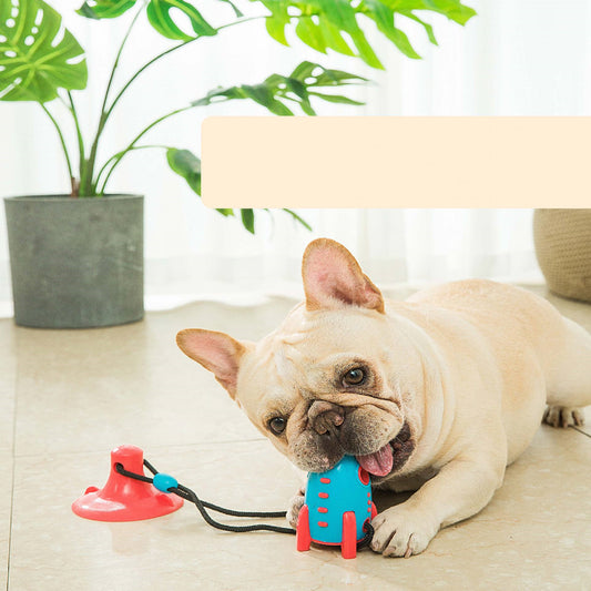 Rocket Treat Launcher – Endless Fun for Energetic Dogs