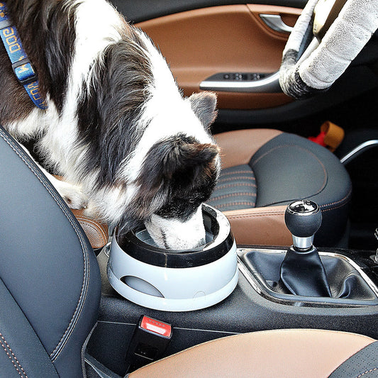Keep Floors Dry, Faces Clean: The No‑Spill Floating Pet Water Bowl