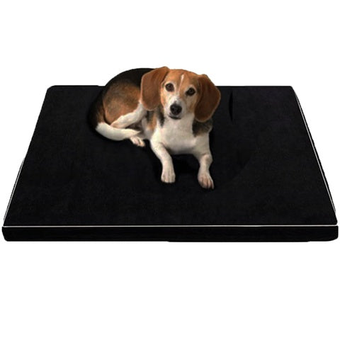 Arthur Comfort Orthopaedic Beds for Big & Wise Dogs