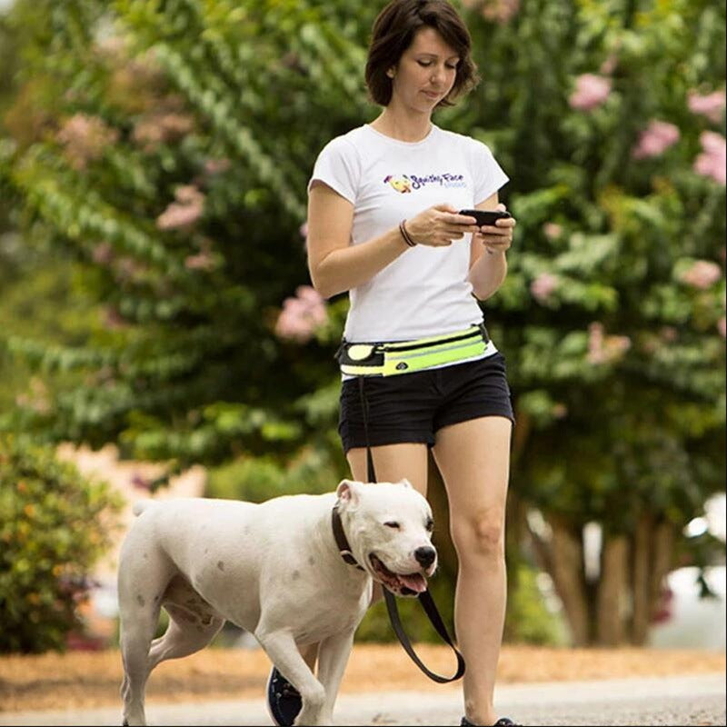 Hands‑Free Shock‑Absorbing Dog Walking Belt for Large Dogs
