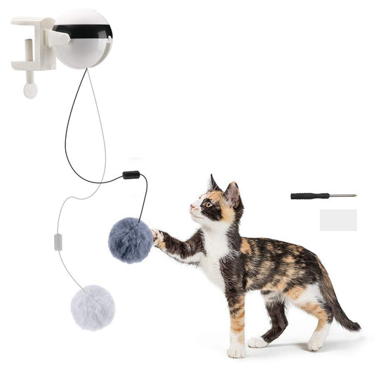 Bounce of Curiosity: Playtime That Inspires