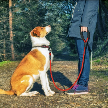 Reflective Nylon Dog Leash – Comfort, Safety & Control in Every Walk