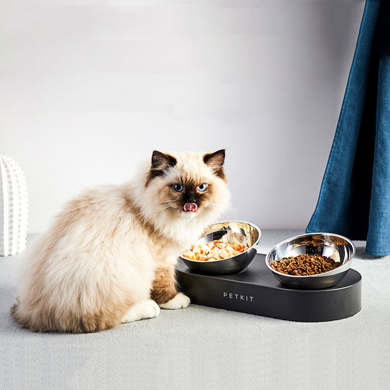 Elevate Mealtime Comfort: Adjustable Stainless Steel Pet Double Bowls