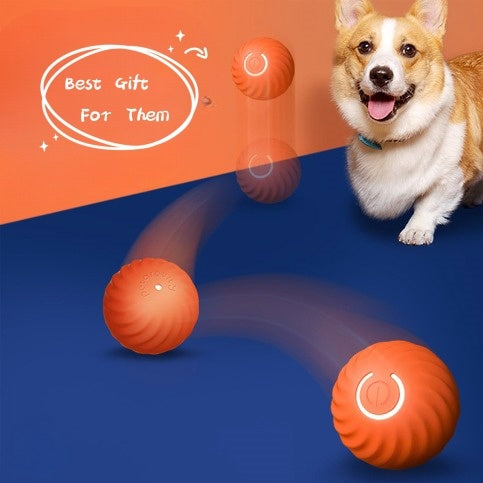 Endurance Rubber Ball – Happy Chewers, Healthy Smiles