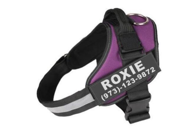 Personalized Reflective No‑Pull Harness — Custom Name Patch & Adjustable Fit