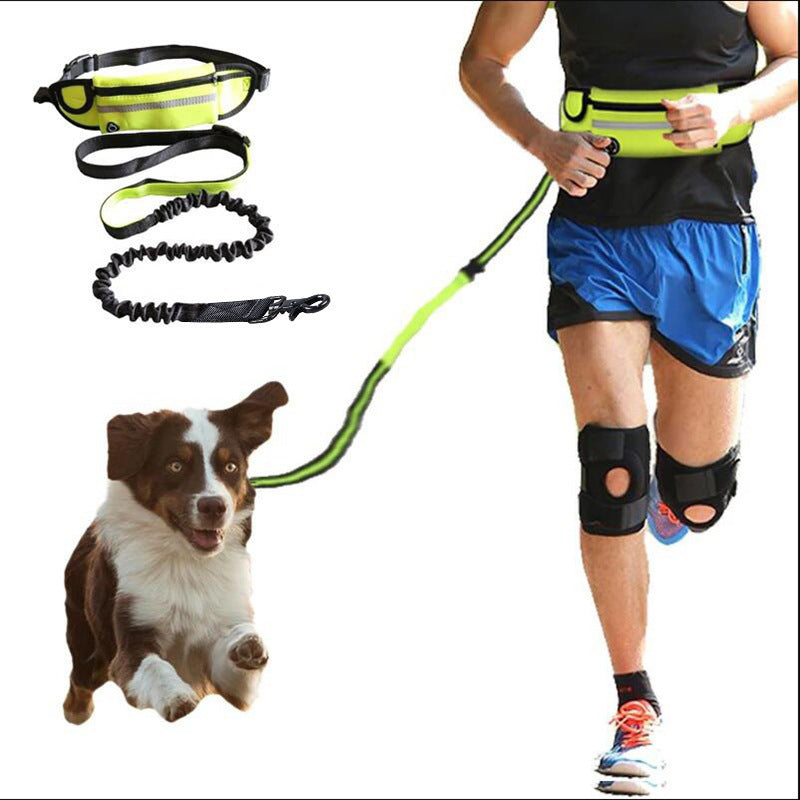 Hands‑Free Shock‑Absorbing Dog Walking Belt for Large Dogs