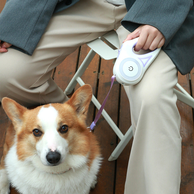 Dog Leash Retractable Leash And Dog Collar Spotlight Automatic Pet Dog Cat Traction Rope For Small Medium Dogs Pet Product - Barking Good Deals