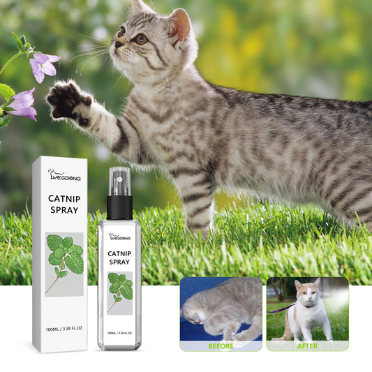 Pet Vitality Health Care Spray – Boost Wellness, Shine & Comfort