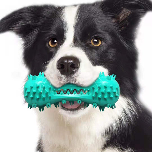 Aggressive Chewer Dental Molar Stick