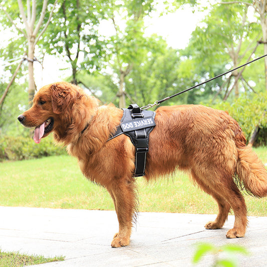 Personalized Pet Chest Strap – Stylish Comfort, Enhanced Safety, and Individual Flair