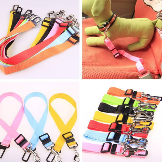 Fixed Strap Polyester Dog Strap Dog Leash Dog Leash - Barking Good Deals