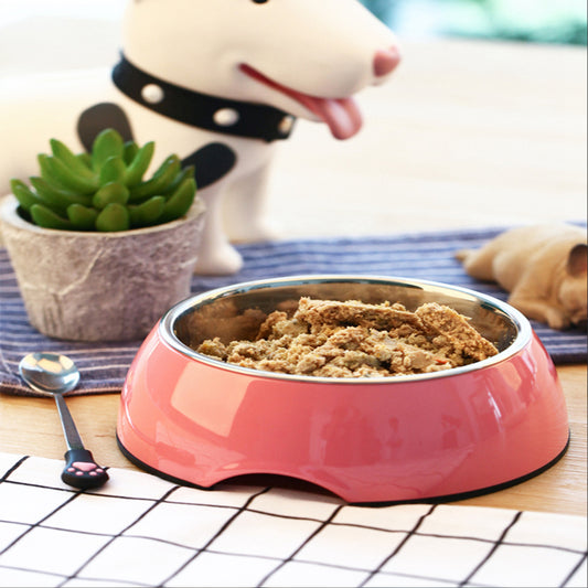 Stainless Steel Large Dog Bowl – Comfort Meets Cleanliness