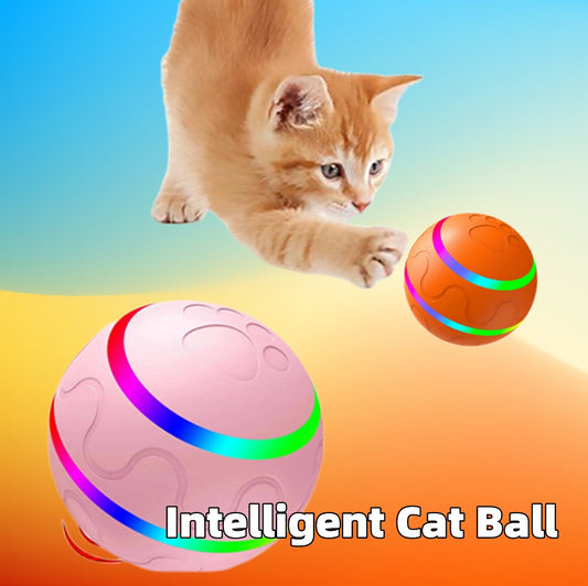 Forever Playtime: Keep Your Cat Happy and Active