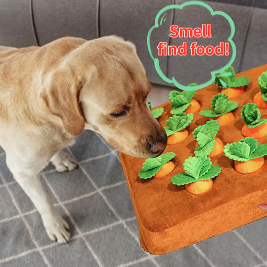 Durable Carrot Chew & Snuffle Mat Pet Toy