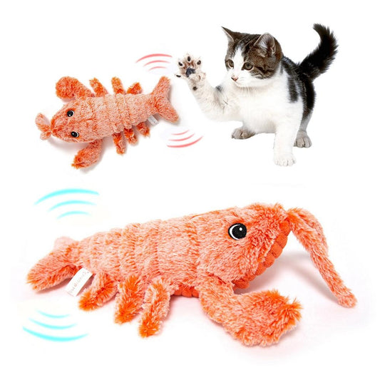 Unforgettable Fun: Let Your Cat Play with Joy